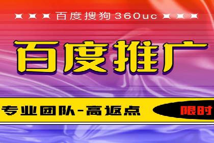 百度竞价运营的挑战与机遇：成功案例探讨
